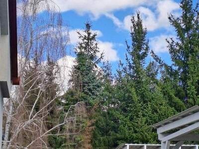 Einfamilienhaus mieten in 7323 Ritzing (Bild 5)