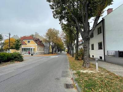 Haus kaufen in 1110 Wien