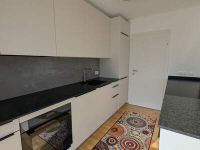 Terrassenwohnung mieten in 1210 Wien (Bild 3)