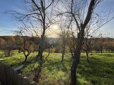 Grundstück kaufen in 8362 Ruppersdorf (Bild 3)