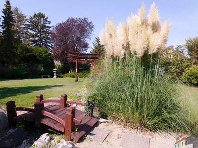 Haus mit Garten kaufen in 2320 Schwechat