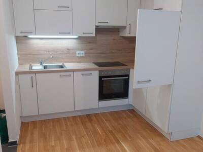 Terrassenwohnung mieten in 1100 Wien (Bild 2)