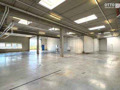 Gewerbeobjekt mieten in 1300 Flughafen Wien