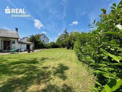 Grundstück kaufen in 2602 Blumau