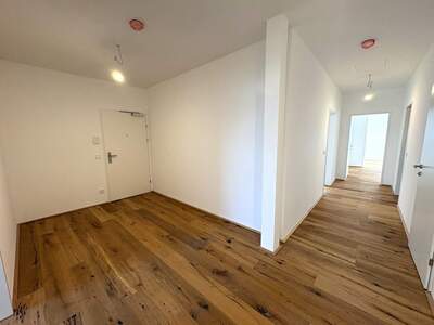 Dachgeschosswohnung kaufen in 4202 Hellmonsödt
