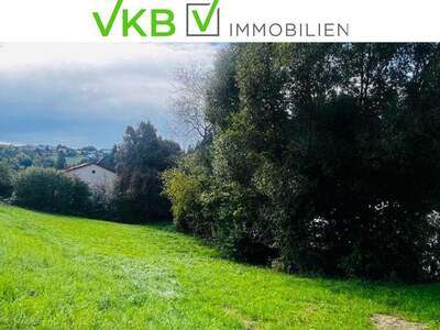 Grundstück kaufen in 4201 Eidenberg