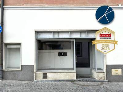 Einzelhandel mieten in 3500 Krems (Bild 1)