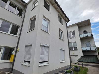 Wohnung mieten in 3462 Absdorf