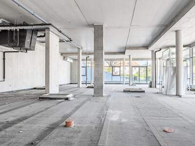 Gewerbeobjekt kaufen in 4490 St. Florian (Bild 3)