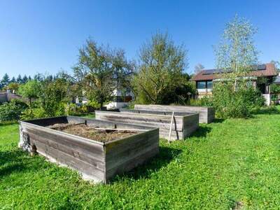 Haus kaufen in 3032 Eichgraben (Bild 3)