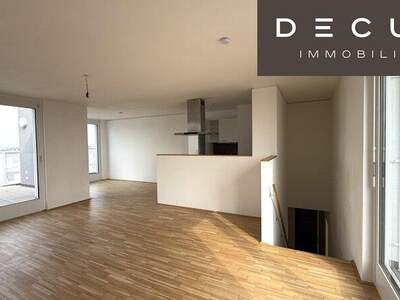 Terrassenwohnung mieten in 1220 Wien (Bild 1)