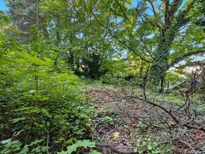 Grundstück kaufen in 2102 Bisamberg