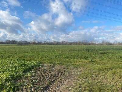 Grundstück kaufen in 4481 Asten