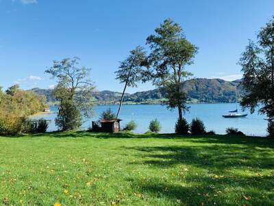 Eigentumswohnung in 4865 Nußdorf (Bild 1)