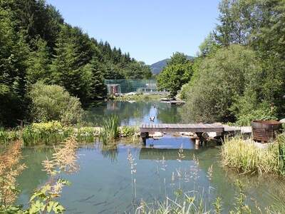 Mehrfamilienhaus kaufen in 3341 Ybbsitz (Bild 2)