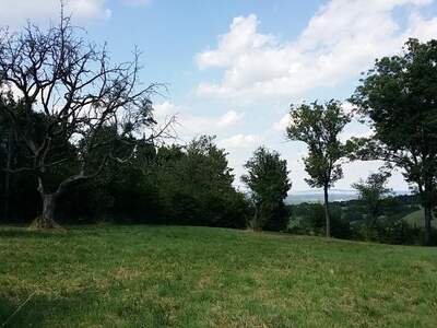 Jagd- und Forstwirtschaft kaufen in 3434 Wilfersdorf (Bild 3)