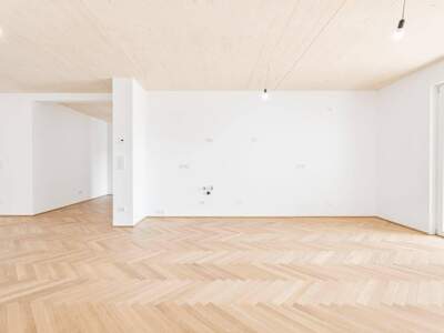 Anlageobjekt kaufen in 1020 Wien