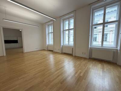 Gewerbeobjekt mieten in 1010 Wien (Bild 4)