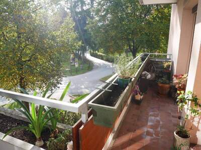 Anlageobjekt kaufen in 5020 Salzburg