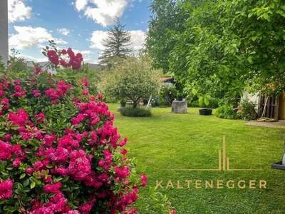 Haus mit Garten kaufen in 2100 Korneuburg (Bild 3)