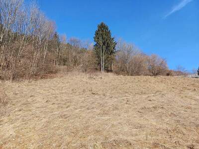 Grundstück provisionsfrei kaufen in 9565 Ebene Reichenau