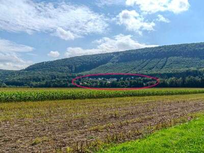 Haus kaufen in 2564 Fahrafeld (Bild 2)