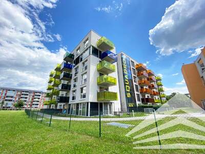 Terrassenwohnung mieten in 4020 Linz (Bild 1)