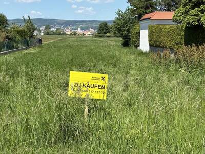Grundstück kaufen in 7061 Trausdorf