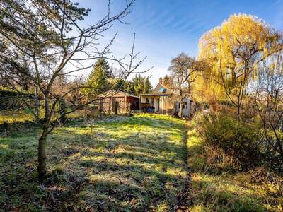 Haus kaufen in 1230 Wien (Bild 3)