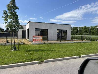 Haus kaufen in 2491 Hornstein