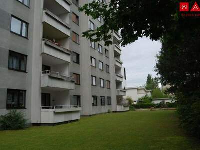 Terrassenwohnung mieten in 4053 Haid (Bild 2)