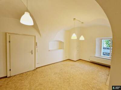 Gewerbeobjekt mieten in 8010 Graz (Bild 2)