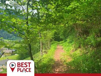 Gewerbeobjekt kaufen in 9542 Afritz