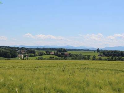 Grundstück kaufen in 4491 Niederneukirchen (Bild 2)