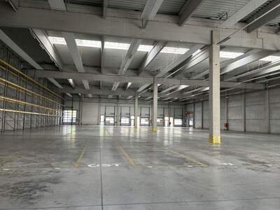 Gewerbeobjekt mieten in 4882 Oberwang (Bild 4)