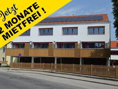 Wohnung mieten in 3804 Allentsteig