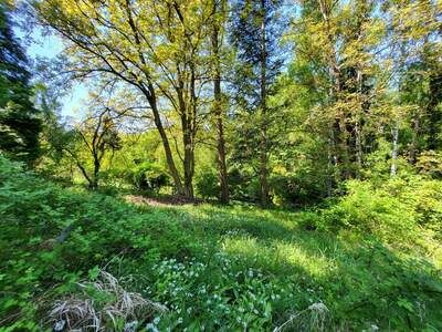 Grundstück kaufen in 3003 Gablitz (Bild 5)