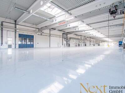 Lager kaufen in 4614 Marchtrenk (Bild 3)