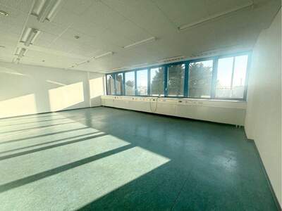 Gewerbeobjekt mieten in 2351 Wiener Neudorf