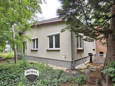 Einfamilienhaus kaufen in 2440 Mitterndorf (Bild 3)