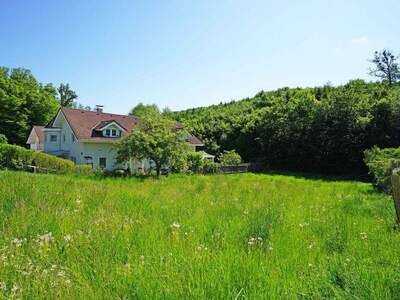 Grundstück kaufen in 2384 Breitenfurt (Bild 1)