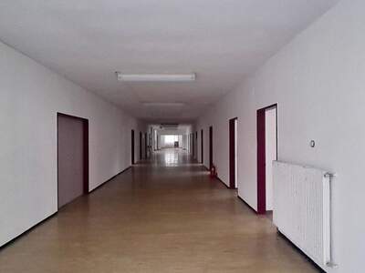 Gewerbeobjekt mieten in 4400 Steyr (Bild 2)