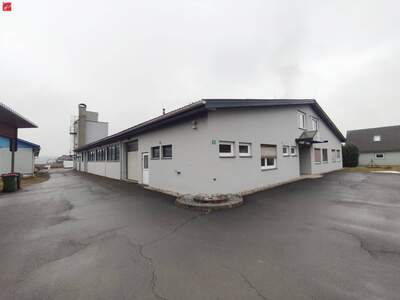 Gewerbeobjekt kaufen in 8142 Wundschuh