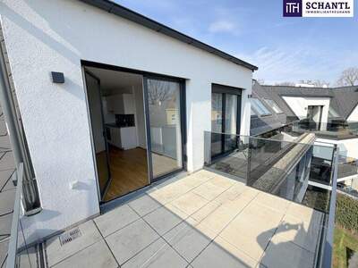 Terrassenwohnung kaufen in 1220 Wien (Bild 2)