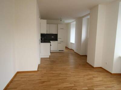 Wohnung mieten in 5020 Salzburg (Bild 2)