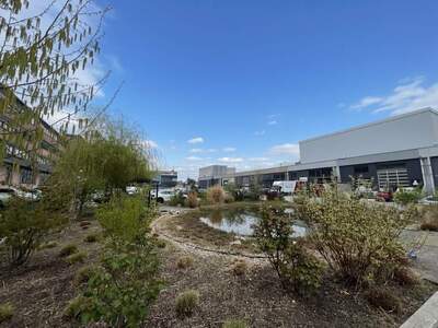 Gewerbeobjekt mieten in 2514 Traiskirchen