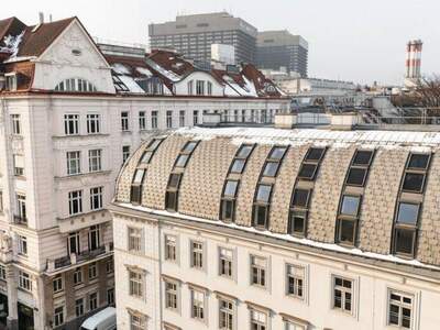 Terrassenwohnung kaufen in 1090 Wien (Bild 2)