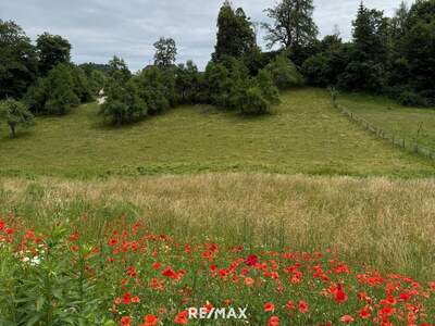 Grundstück kaufen in 9161 Maria Rain