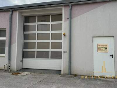 Gewerbeobjekt mieten in 2620 Neunkirchen