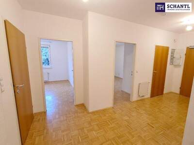 Terrassenwohnung kaufen in 8020 Graz (Bild 4)